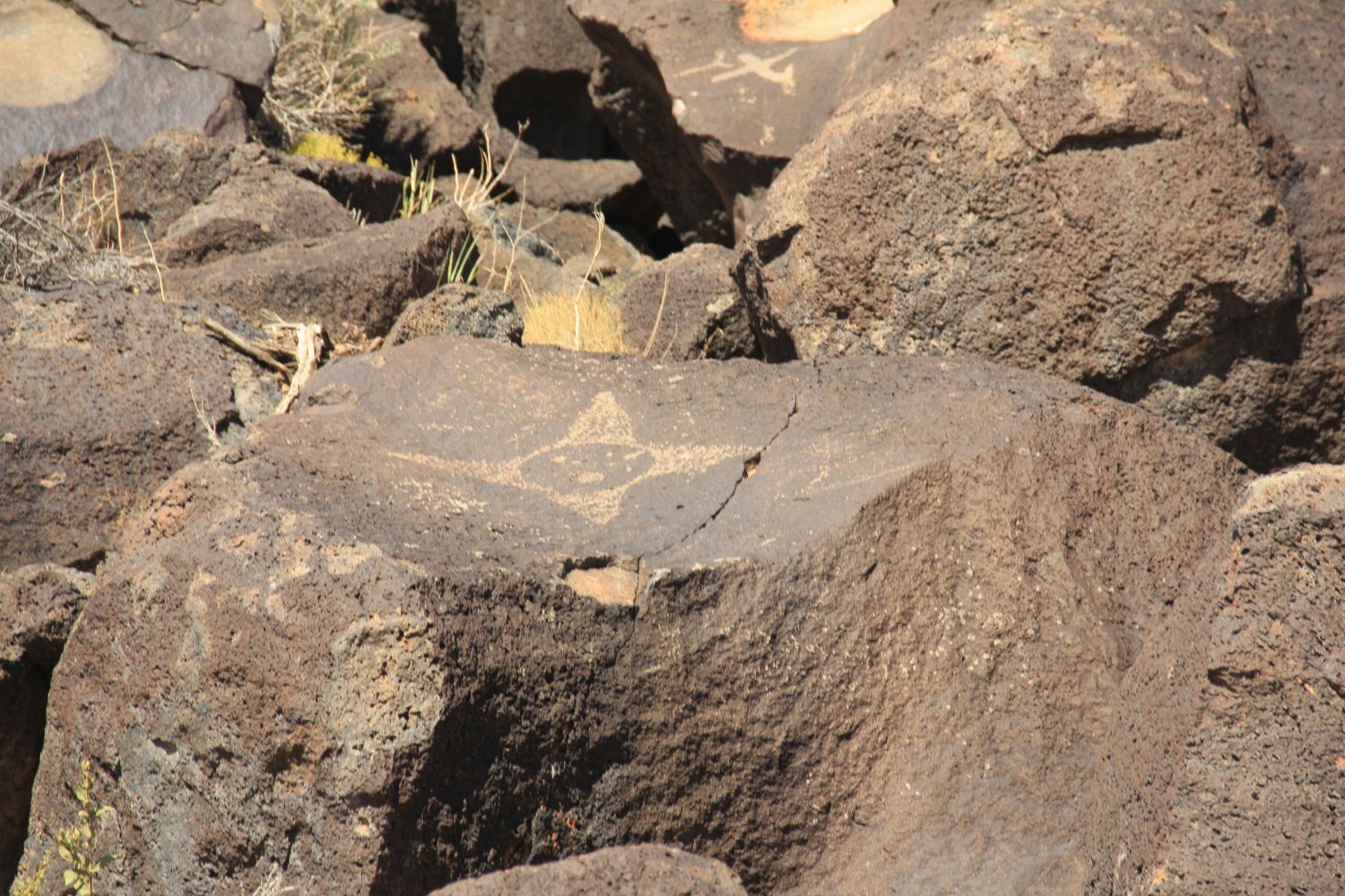 Petroglyph National Monument 